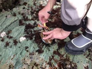 和歌山エギングキロアップ